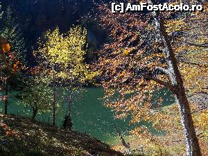 [P10] Lacul Vidraru - albastru sau verde?  » foto by Lumis66
 - 
<span class="allrVoted glyphicon glyphicon-heart hidden" id="av482693"></span>
<a class="m-l-10 hidden" id="sv482693" onclick="voting_Foto_DelVot(,482693,4399)" role="button">șterge vot <span class="glyphicon glyphicon-remove"></span></a>
<a id="v9482693" class=" c-red"  onclick="voting_Foto_SetVot(482693)" role="button"><span class="glyphicon glyphicon-heart-empty"></span> <b>LIKE</b> = Votează poza</a> <img class="hidden"  id="f482693W9" src="/imagini/loader.gif" border="0" /><span class="AjErrMes hidden" id="e482693ErM"></span>