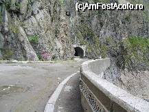 [P01] intrare in tunel spre drumul forestier » foto by mario 110
 - 
<span class="allrVoted glyphicon glyphicon-heart hidden" id="av42694"></span>
<a class="m-l-10 hidden" id="sv42694" onclick="voting_Foto_DelVot(,42694,4399)" role="button">șterge vot <span class="glyphicon glyphicon-remove"></span></a>
<a id="v942694" class=" c-red"  onclick="voting_Foto_SetVot(42694)" role="button"><span class="glyphicon glyphicon-heart-empty"></span> <b>LIKE</b> = Votează poza</a> <img class="hidden"  id="f42694W9" src="/imagini/loader.gif" border="0" /><span class="AjErrMes hidden" id="e42694ErM"></span>