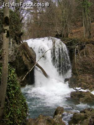 [P07] Cascada La Vaioaga » foto by Testosu'
 - 
<span class="allrVoted glyphicon glyphicon-heart hidden" id="av835096"></span>
<a class="m-l-10 hidden" id="sv835096" onclick="voting_Foto_DelVot(,835096,4404)" role="button">șterge vot <span class="glyphicon glyphicon-remove"></span></a>
<a id="v9835096" class=" c-red"  onclick="voting_Foto_SetVot(835096)" role="button"><span class="glyphicon glyphicon-heart-empty"></span> <b>LIKE</b> = Votează poza</a> <img class="hidden"  id="f835096W9" src="/imagini/loader.gif" border="0" /><span class="AjErrMes hidden" id="e835096ErM"></span>