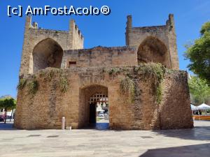 [P81] La pas prin Alcudia » foto by crismis
 - 
<span class="allrVoted glyphicon glyphicon-heart hidden" id="av1381753"></span>
<a class="m-l-10 hidden" id="sv1381753" onclick="voting_Foto_DelVot(,1381753,4407)" role="button">șterge vot <span class="glyphicon glyphicon-remove"></span></a>
<a id="v91381753" class=" c-red"  onclick="voting_Foto_SetVot(1381753)" role="button"><span class="glyphicon glyphicon-heart-empty"></span> <b>LIKE</b> = Votează poza</a> <img class="hidden"  id="f1381753W9" src="/imagini/loader.gif" border="0" /><span class="AjErrMes hidden" id="e1381753ErM"></span>