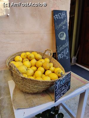 [P94] La pas prin Pollenca » foto by crismis
 - 
<span class="allrVoted glyphicon glyphicon-heart hidden" id="av1381766"></span>
<a class="m-l-10 hidden" id="sv1381766" onclick="voting_Foto_DelVot(,1381766,4407)" role="button">șterge vot <span class="glyphicon glyphicon-remove"></span></a>
<a id="v91381766" class=" c-red"  onclick="voting_Foto_SetVot(1381766)" role="button"><span class="glyphicon glyphicon-heart-empty"></span> <b>LIKE</b> = Votează poza</a> <img class="hidden"  id="f1381766W9" src="/imagini/loader.gif" border="0" /><span class="AjErrMes hidden" id="e1381766ErM"></span>