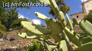 [P41] 41. Un mic detaliu al acesteia.  » foto by msnd
 - 
<span class="allrVoted glyphicon glyphicon-heart hidden" id="av780580"></span>
<a class="m-l-10 hidden" id="sv780580" onclick="voting_Foto_DelVot(,780580,4407)" role="button">șterge vot <span class="glyphicon glyphicon-remove"></span></a>
<a id="v9780580" class=" c-red"  onclick="voting_Foto_SetVot(780580)" role="button"><span class="glyphicon glyphicon-heart-empty"></span> <b>LIKE</b> = Votează poza</a> <img class="hidden"  id="f780580W9" src="/imagini/loader.gif" border="0" /><span class="AjErrMes hidden" id="e780580ErM"></span>