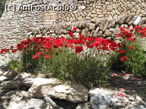 [P57] 56. În drum putem admira și frumuseți ale naturii, ...  » foto by msnd
 - 
<span class="allrVoted glyphicon glyphicon-heart hidden" id="av780597"></span>
<a class="m-l-10 hidden" id="sv780597" onclick="voting_Foto_DelVot(,780597,4407)" role="button">șterge vot <span class="glyphicon glyphicon-remove"></span></a>
<a id="v9780597" class=" c-red"  onclick="voting_Foto_SetVot(780597)" role="button"><span class="glyphicon glyphicon-heart-empty"></span> <b>LIKE</b> = Votează poza</a> <img class="hidden"  id="f780597W9" src="/imagini/loader.gif" border="0" /><span class="AjErrMes hidden" id="e780597ErM"></span>