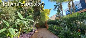 [P72] Hotel La Mamounia, flori și alei în grădină » foto by irinad
 - 
<span class="allrVoted glyphicon glyphicon-heart hidden" id="av1509097"></span>
<a class="m-l-10 hidden" id="sv1509097" onclick="voting_Foto_DelVot(,1509097,4416)" role="button">șterge vot <span class="glyphicon glyphicon-remove"></span></a>
<a id="v91509097" class=" c-red"  onclick="voting_Foto_SetVot(1509097)" role="button"><span class="glyphicon glyphicon-heart-empty"></span> <b>LIKE</b> = Votează poza</a> <img class="hidden"  id="f1509097W9" src="/imagini/loader.gif" border="0" /><span class="AjErrMes hidden" id="e1509097ErM"></span>