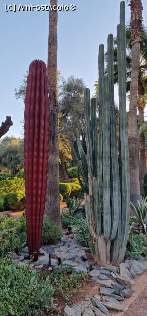 [P87] Hotel La Mamounia » foto by adso
 - 
<span class="allrVoted glyphicon glyphicon-heart hidden" id="av1528144"></span>
<a class="m-l-10 hidden" id="sv1528144" onclick="voting_Foto_DelVot(,1528144,4416)" role="button">șterge vot <span class="glyphicon glyphicon-remove"></span></a>
<a id="v91528144" class=" c-red"  onclick="voting_Foto_SetVot(1528144)" role="button"><span class="glyphicon glyphicon-heart-empty"></span> <b>LIKE</b> = Votează poza</a> <img class="hidden"  id="f1528144W9" src="/imagini/loader.gif" border="0" /><span class="AjErrMes hidden" id="e1528144ErM"></span>