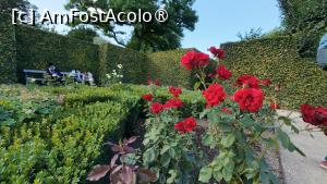 [P47] Copenhaga - grădina de trandafiri Rosenborg » foto by Dragoș_MD
 - 
<span class="allrVoted glyphicon glyphicon-heart hidden" id="av1512565"></span>
<a class="m-l-10 hidden" id="sv1512565" onclick="voting_Foto_DelVot(,1512565,4424)" role="button">șterge vot <span class="glyphicon glyphicon-remove"></span></a>
<a id="v91512565" class=" c-red"  onclick="voting_Foto_SetVot(1512565)" role="button"><span class="glyphicon glyphicon-heart-empty"></span> <b>LIKE</b> = Votează poza</a> <img class="hidden"  id="f1512565W9" src="/imagini/loader.gif" border="0" /><span class="AjErrMes hidden" id="e1512565ErM"></span>