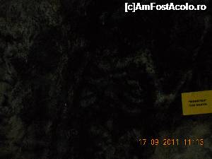 [P11] Pestera Polovragi » foto by zlatna
 - 
<span class="allrVoted glyphicon glyphicon-heart hidden" id="av696303"></span>
<a class="m-l-10 hidden" id="sv696303" onclick="voting_Foto_DelVot(,696303,4440)" role="button">șterge vot <span class="glyphicon glyphicon-remove"></span></a>
<a id="v9696303" class=" c-red"  onclick="voting_Foto_SetVot(696303)" role="button"><span class="glyphicon glyphicon-heart-empty"></span> <b>LIKE</b> = Votează poza</a> <img class="hidden"  id="f696303W9" src="/imagini/loader.gif" border="0" /><span class="AjErrMes hidden" id="e696303ErM"></span>