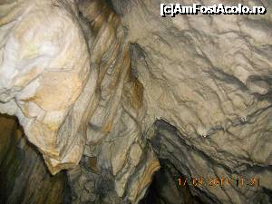 [P16] Pestera Polovragi » foto by zlatna
 - 
<span class="allrVoted glyphicon glyphicon-heart hidden" id="av696308"></span>
<a class="m-l-10 hidden" id="sv696308" onclick="voting_Foto_DelVot(,696308,4440)" role="button">șterge vot <span class="glyphicon glyphicon-remove"></span></a>
<a id="v9696308" class=" c-red"  onclick="voting_Foto_SetVot(696308)" role="button"><span class="glyphicon glyphicon-heart-empty"></span> <b>LIKE</b> = Votează poza</a> <img class="hidden"  id="f696308W9" src="/imagini/loader.gif" border="0" /><span class="AjErrMes hidden" id="e696308ErM"></span>