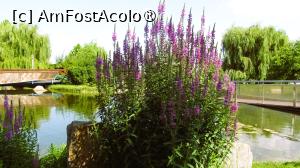 [P48x] parcul viva faleza » foto by valeriu boss
 - 
<span class="allrVoted glyphicon glyphicon-heart hidden" id="av1392226"></span>
<a class="m-l-10 hidden" id="sv1392226" onclick="voting_Foto_DelVot(,1392226,4457)" role="button">șterge vot <span class="glyphicon glyphicon-remove"></span></a>
<a id="v91392226" class=" c-red"  onclick="voting_Foto_SetVot(1392226)" role="button"><span class="glyphicon glyphicon-heart-empty"></span> <b>LIKE</b> = Votează poza</a> <img class="hidden"  id="f1392226W9" src="/imagini/loader.gif" border="0" /><span class="AjErrMes hidden" id="e1392226ErM"></span>