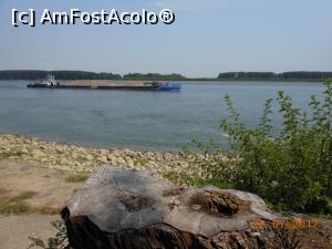 [P49] Galați - Faleza Dunării.  » foto by iulianic
 - 
<span class="allrVoted glyphicon glyphicon-heart hidden" id="av883661"></span>
<a class="m-l-10 hidden" id="sv883661" onclick="voting_Foto_DelVot(,883661,4457)" role="button">șterge vot <span class="glyphicon glyphicon-remove"></span></a>
<a id="v9883661" class=" c-red"  onclick="voting_Foto_SetVot(883661)" role="button"><span class="glyphicon glyphicon-heart-empty"></span> <b>LIKE</b> = Votează poza</a> <img class="hidden"  id="f883661W9" src="/imagini/loader.gif" border="0" /><span class="AjErrMes hidden" id="e883661ErM"></span>