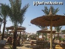 [P36] plaja ...avioanele treceau deasupra noastra din 10 in 10 min » foto by ghecamelia
 - 
<span class="allrVoted glyphicon glyphicon-heart hidden" id="av47067"></span>
<a class="m-l-10 hidden" id="sv47067" onclick="voting_Foto_DelVot(,47067,4459)" role="button">șterge vot <span class="glyphicon glyphicon-remove"></span></a>
<a id="v947067" class=" c-red"  onclick="voting_Foto_SetVot(47067)" role="button"><span class="glyphicon glyphicon-heart-empty"></span> <b>LIKE</b> = Votează poza</a> <img class="hidden"  id="f47067W9" src="/imagini/loader.gif" border="0" /><span class="AjErrMes hidden" id="e47067ErM"></span>