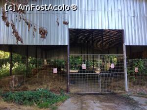 [P44] Zoo Ploiești, Bucov » foto by Mioritik
 - 
<span class="allrVoted glyphicon glyphicon-heart hidden" id="av1247826"></span>
<a class="m-l-10 hidden" id="sv1247826" onclick="voting_Foto_DelVot(,1247826,4463)" role="button">șterge vot <span class="glyphicon glyphicon-remove"></span></a>
<a id="v91247826" class=" c-red"  onclick="voting_Foto_SetVot(1247826)" role="button"><span class="glyphicon glyphicon-heart-empty"></span> <b>LIKE</b> = Votează poza</a> <img class="hidden"  id="f1247826W9" src="/imagini/loader.gif" border="0" /><span class="AjErrMes hidden" id="e1247826ErM"></span>