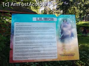 [P45] Zoo Ploiești, Bucov » foto by Mioritik
 - 
<span class="allrVoted glyphicon glyphicon-heart hidden" id="av1247827"></span>
<a class="m-l-10 hidden" id="sv1247827" onclick="voting_Foto_DelVot(,1247827,4463)" role="button">șterge vot <span class="glyphicon glyphicon-remove"></span></a>
<a id="v91247827" class=" c-red"  onclick="voting_Foto_SetVot(1247827)" role="button"><span class="glyphicon glyphicon-heart-empty"></span> <b>LIKE</b> = Votează poza</a> <img class="hidden"  id="f1247827W9" src="/imagini/loader.gif" border="0" /><span class="AjErrMes hidden" id="e1247827ErM"></span>