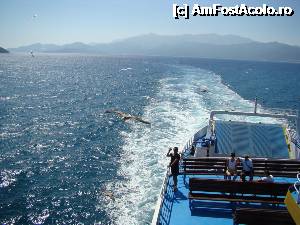 [P15] Poza facuta pe ferryboat la plecarea de pe Insula Thassos. Pe fundal se vede insula.  » foto by tdgabriela
 - 
<span class="allrVoted glyphicon glyphicon-heart hidden" id="av362491"></span>
<a class="m-l-10 hidden" id="sv362491" onclick="voting_Foto_DelVot(,362491,4512)" role="button">șterge vot <span class="glyphicon glyphicon-remove"></span></a>
<a id="v9362491" class=" c-red"  onclick="voting_Foto_SetVot(362491)" role="button"><span class="glyphicon glyphicon-heart-empty"></span> <b>LIKE</b> = Votează poza</a> <img class="hidden"  id="f362491W9" src="/imagini/loader.gif" border="0" /><span class="AjErrMes hidden" id="e362491ErM"></span>