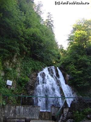 [P53] Cascada Urlătoarea este un obiectiv ce merită a fi vizitat.  » foto by Floryn81
 - 
<span class="allrVoted glyphicon glyphicon-heart hidden" id="av639871"></span>
<a class="m-l-10 hidden" id="sv639871" onclick="voting_Foto_DelVot(,639871,4537)" role="button">șterge vot <span class="glyphicon glyphicon-remove"></span></a>
<a id="v9639871" class=" c-red"  onclick="voting_Foto_SetVot(639871)" role="button"><span class="glyphicon glyphicon-heart-empty"></span> <b>LIKE</b> = Votează poza</a> <img class="hidden"  id="f639871W9" src="/imagini/loader.gif" border="0" /><span class="AjErrMes hidden" id="e639871ErM"></span>