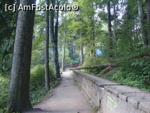 [P13] Din acest punct urcușul se cam termină și traseul se rezumă la o plimbare prin pădure; poteca se îndreptă din nou spre stânga.  » foto by Floryn81
 - 
<span class="allrVoted glyphicon glyphicon-heart hidden" id="av792663"></span>
<a class="m-l-10 hidden" id="sv792663" onclick="voting_Foto_DelVot(,792663,4537)" role="button">șterge vot <span class="glyphicon glyphicon-remove"></span></a>
<a id="v9792663" class=" c-red"  onclick="voting_Foto_SetVot(792663)" role="button"><span class="glyphicon glyphicon-heart-empty"></span> <b>LIKE</b> = Votează poza</a> <img class="hidden"  id="f792663W9" src="/imagini/loader.gif" border="0" /><span class="AjErrMes hidden" id="e792663ErM"></span>