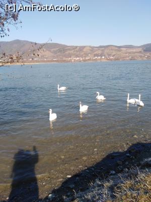 [P10] Umbre de fete pe lacul lebedelor » foto by MarinaCo
 - 
<span class="allrVoted glyphicon glyphicon-heart hidden" id="av1280175"></span>
<a class="m-l-10 hidden" id="sv1280175" onclick="voting_Foto_DelVot(,1280175,4549)" role="button">șterge vot <span class="glyphicon glyphicon-remove"></span></a>
<a id="v91280175" class=" c-red"  onclick="voting_Foto_SetVot(1280175)" role="button"><span class="glyphicon glyphicon-heart-empty"></span> <b>LIKE</b> = Votează poza</a> <img class="hidden"  id="f1280175W9" src="/imagini/loader.gif" border="0" /><span class="AjErrMes hidden" id="e1280175ErM"></span>