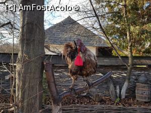 [P13] Parcul tematic ”Ion Creangă” de la Târgu Neamț; cocoșul ne prezintă cu mândrie punguța sa cu doi bani. » foto by Floryn81
 - 
<span class="allrVoted glyphicon glyphicon-heart hidden" id="av1215212"></span>
<a class="m-l-10 hidden" id="sv1215212" onclick="voting_Foto_DelVot(,1215212,4549)" role="button">șterge vot <span class="glyphicon glyphicon-remove"></span></a>
<a id="v91215212" class=" c-red"  onclick="voting_Foto_SetVot(1215212)" role="button"><span class="glyphicon glyphicon-heart-empty"></span> <b>LIKE</b> = Votează poza</a> <img class="hidden"  id="f1215212W9" src="/imagini/loader.gif" border="0" /><span class="AjErrMes hidden" id="e1215212ErM"></span>