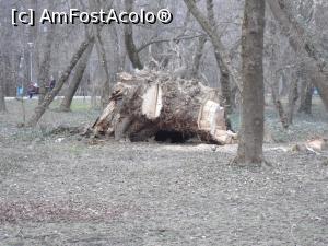 [P14] Parcul Central din Tg. Jiu. Lemnul, element cheie în formarea artistică a merelui Brâncuși. » foto by mihaelavoicu
 - 
<span class="allrVoted glyphicon glyphicon-heart hidden" id="av1217142"></span>
<a class="m-l-10 hidden" id="sv1217142" onclick="voting_Foto_DelVot(,1217142,4551)" role="button">șterge vot <span class="glyphicon glyphicon-remove"></span></a>
<a id="v91217142" class=" c-red"  onclick="voting_Foto_SetVot(1217142)" role="button"><span class="glyphicon glyphicon-heart-empty"></span> <b>LIKE</b> = Votează poza</a> <img class="hidden"  id="f1217142W9" src="/imagini/loader.gif" border="0" /><span class="AjErrMes hidden" id="e1217142ErM"></span>