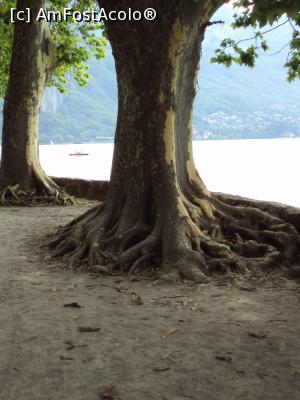 [P23] Lac dʼAnnecy.  » foto by Carmen Ion
 - 
<span class="allrVoted glyphicon glyphicon-heart hidden" id="av927581"></span>
<a class="m-l-10 hidden" id="sv927581" onclick="voting_Foto_DelVot(,927581,4561)" role="button">șterge vot <span class="glyphicon glyphicon-remove"></span></a>
<a id="v9927581" class=" c-red"  onclick="voting_Foto_SetVot(927581)" role="button"><span class="glyphicon glyphicon-heart-empty"></span> <b>LIKE</b> = Votează poza</a> <img class="hidden"  id="f927581W9" src="/imagini/loader.gif" border="0" /><span class="AjErrMes hidden" id="e927581ErM"></span>