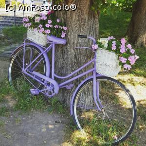 [P02] Pe scarile care duc spre manastire am zarit aceasta bicicleta super fotogenica, iar imediat langa ea gasiti o terasa micuta cu o super inghetata.  » foto by RAlexandra
 - 
<span class="allrVoted glyphicon glyphicon-heart hidden" id="av979381"></span>
<a class="m-l-10 hidden" id="sv979381" onclick="voting_Foto_DelVot(,979381,4597)" role="button">șterge vot <span class="glyphicon glyphicon-remove"></span></a>
<a id="v9979381" class=" c-red"  onclick="voting_Foto_SetVot(979381)" role="button"><span class="glyphicon glyphicon-heart-empty"></span> <b>LIKE</b> = Votează poza</a> <img class="hidden"  id="f979381W9" src="/imagini/loader.gif" border="0" /><span class="AjErrMes hidden" id="e979381ErM"></span>