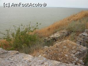 [P17] Capul Doloșman - În incinta Cetății Argamum. » foto by iulianic
 - 
<span class="allrVoted glyphicon glyphicon-heart hidden" id="av1379138"></span>
<a class="m-l-10 hidden" id="sv1379138" onclick="voting_Foto_DelVot(,1379138,4623)" role="button">șterge vot <span class="glyphicon glyphicon-remove"></span></a>
<a id="v91379138" class=" c-red"  onclick="voting_Foto_SetVot(1379138)" role="button"><span class="glyphicon glyphicon-heart-empty"></span> <b>LIKE</b> = Votează poza</a> <img class="hidden"  id="f1379138W9" src="/imagini/loader.gif" border="0" /><span class="AjErrMes hidden" id="e1379138ErM"></span>