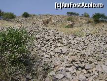 [P13] Pe Piatra Roşie, bucăţi de granit dezagregat...  » foto by Neptunus
 - 
<span class="allrVoted glyphicon glyphicon-heart hidden" id="av472964"></span>
<a class="m-l-10 hidden" id="sv472964" onclick="voting_Foto_DelVot(,472964,4623)" role="button">șterge vot <span class="glyphicon glyphicon-remove"></span></a>
<a id="v9472964" class=" c-red"  onclick="voting_Foto_SetVot(472964)" role="button"><span class="glyphicon glyphicon-heart-empty"></span> <b>LIKE</b> = Votează poza</a> <img class="hidden"  id="f472964W9" src="/imagini/loader.gif" border="0" /><span class="AjErrMes hidden" id="e472964ErM"></span>