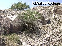 [P15] Pietroaie, pietricele şi arbuşti xerotermi... Ce altceva ai putea întâlni pe un deal nord-dobrogean? ...  » foto by Neptunus
 - 
<span class="allrVoted glyphicon glyphicon-heart hidden" id="av472969"></span>
<a class="m-l-10 hidden" id="sv472969" onclick="voting_Foto_DelVot(,472969,4623)" role="button">șterge vot <span class="glyphicon glyphicon-remove"></span></a>
<a id="v9472969" class=" c-red"  onclick="voting_Foto_SetVot(472969)" role="button"><span class="glyphicon glyphicon-heart-empty"></span> <b>LIKE</b> = Votează poza</a> <img class="hidden"  id="f472969W9" src="/imagini/loader.gif" border="0" /><span class="AjErrMes hidden" id="e472969ErM"></span>