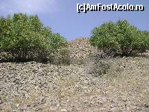 [P17] În plină caniculă a verii, pe Dealul Piatra Roşie...  » foto by Neptunus
 - 
<span class="allrVoted glyphicon glyphicon-heart hidden" id="av472976"></span>
<a class="m-l-10 hidden" id="sv472976" onclick="voting_Foto_DelVot(,472976,4623)" role="button">șterge vot <span class="glyphicon glyphicon-remove"></span></a>
<a id="v9472976" class=" c-red"  onclick="voting_Foto_SetVot(472976)" role="button"><span class="glyphicon glyphicon-heart-empty"></span> <b>LIKE</b> = Votează poza</a> <img class="hidden"  id="f472976W9" src="/imagini/loader.gif" border="0" /><span class="AjErrMes hidden" id="e472976ErM"></span>