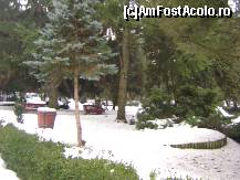 [P02] Universitatea de Medicina si Farmacie Tg. Mures  - in curtea facultatii » foto by biancuta
 - 
<span class="allrVoted glyphicon glyphicon-heart hidden" id="av297972"></span>
<a class="m-l-10 hidden" id="sv297972" onclick="voting_Foto_DelVot(,297972,4629)" role="button">șterge vot <span class="glyphicon glyphicon-remove"></span></a>
<a id="v9297972" class=" c-red"  onclick="voting_Foto_SetVot(297972)" role="button"><span class="glyphicon glyphicon-heart-empty"></span> <b>LIKE</b> = Votează poza</a> <img class="hidden"  id="f297972W9" src="/imagini/loader.gif" border="0" /><span class="AjErrMes hidden" id="e297972ErM"></span>