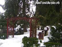 [P03] Universitatea de Medicina si Farmacie Tg. Mures » foto by biancuta
 - 
<span class="allrVoted glyphicon glyphicon-heart hidden" id="av297973"></span>
<a class="m-l-10 hidden" id="sv297973" onclick="voting_Foto_DelVot(,297973,4629)" role="button">șterge vot <span class="glyphicon glyphicon-remove"></span></a>
<a id="v9297973" class=" c-red"  onclick="voting_Foto_SetVot(297973)" role="button"><span class="glyphicon glyphicon-heart-empty"></span> <b>LIKE</b> = Votează poza</a> <img class="hidden"  id="f297973W9" src="/imagini/loader.gif" border="0" /><span class="AjErrMes hidden" id="e297973ErM"></span>