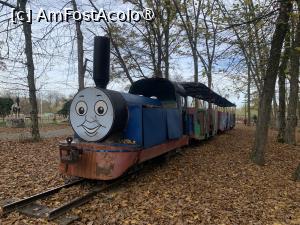 [P34] Târgu Mureș,fosta mocăniță de pe platoul Cornești » foto by AZE
 - 
<span class="allrVoted glyphicon glyphicon-heart hidden" id="av1396611"></span>
<a class="m-l-10 hidden" id="sv1396611" onclick="voting_Foto_DelVot(,1396611,4629)" role="button">șterge vot <span class="glyphicon glyphicon-remove"></span></a>
<a id="v91396611" class=" c-red"  onclick="voting_Foto_SetVot(1396611)" role="button"><span class="glyphicon glyphicon-heart-empty"></span> <b>LIKE</b> = Votează poza</a> <img class="hidden"  id="f1396611W9" src="/imagini/loader.gif" border="0" /><span class="AjErrMes hidden" id="e1396611ErM"></span>