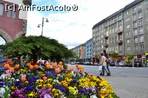 [P17] Târgu-Mureș-centru » foto by AZE
 - 
<span class="allrVoted glyphicon glyphicon-heart hidden" id="av958712"></span>
<a class="m-l-10 hidden" id="sv958712" onclick="voting_Foto_DelVot(,958712,4629)" role="button">șterge vot <span class="glyphicon glyphicon-remove"></span></a>
<a id="v9958712" class=" c-red"  onclick="voting_Foto_SetVot(958712)" role="button"><span class="glyphicon glyphicon-heart-empty"></span> <b>LIKE</b> = Votează poza</a> <img class="hidden"  id="f958712W9" src="/imagini/loader.gif" border="0" /><span class="AjErrMes hidden" id="e958712ErM"></span>