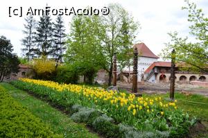 [P04] În curtea cetății medievale din Târgu-Mureș, în timpul renovării » foto by AZE
 - 
<span class="allrVoted glyphicon glyphicon-heart hidden" id="av958697"></span>
<a class="m-l-10 hidden" id="sv958697" onclick="voting_Foto_DelVot(,958697,4629)" role="button">șterge vot <span class="glyphicon glyphicon-remove"></span></a>
<a id="v9958697" class=" c-red"  onclick="voting_Foto_SetVot(958697)" role="button"><span class="glyphicon glyphicon-heart-empty"></span> <b>LIKE</b> = Votează poza</a> <img class="hidden"  id="f958697W9" src="/imagini/loader.gif" border="0" /><span class="AjErrMes hidden" id="e958697ErM"></span>