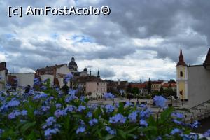 [P07] Tot în Piața Teatrului » foto by AZE
 - 
<span class="allrVoted glyphicon glyphicon-heart hidden" id="av958701"></span>
<a class="m-l-10 hidden" id="sv958701" onclick="voting_Foto_DelVot(,958701,4629)" role="button">șterge vot <span class="glyphicon glyphicon-remove"></span></a>
<a id="v9958701" class=" c-red"  onclick="voting_Foto_SetVot(958701)" role="button"><span class="glyphicon glyphicon-heart-empty"></span> <b>LIKE</b> = Votează poza</a> <img class="hidden"  id="f958701W9" src="/imagini/loader.gif" border="0" /><span class="AjErrMes hidden" id="e958701ErM"></span>