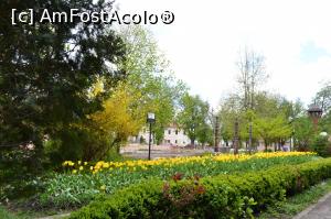 [P08] În curtea cetății » foto by AZE
 - 
<span class="allrVoted glyphicon glyphicon-heart hidden" id="av958702"></span>
<a class="m-l-10 hidden" id="sv958702" onclick="voting_Foto_DelVot(,958702,4629)" role="button">șterge vot <span class="glyphicon glyphicon-remove"></span></a>
<a id="v9958702" class=" c-red"  onclick="voting_Foto_SetVot(958702)" role="button"><span class="glyphicon glyphicon-heart-empty"></span> <b>LIKE</b> = Votează poza</a> <img class="hidden"  id="f958702W9" src="/imagini/loader.gif" border="0" /><span class="AjErrMes hidden" id="e958702ErM"></span>