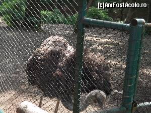 [P08] Strut flamand :)  » foto by AleDia
 - 
<span class="allrVoted glyphicon glyphicon-heart hidden" id="av562976"></span>
<a class="m-l-10 hidden" id="sv562976" onclick="voting_Foto_DelVot(,562976,4629)" role="button">șterge vot <span class="glyphicon glyphicon-remove"></span></a>
<a id="v9562976" class=" c-red"  onclick="voting_Foto_SetVot(562976)" role="button"><span class="glyphicon glyphicon-heart-empty"></span> <b>LIKE</b> = Votează poza</a> <img class="hidden"  id="f562976W9" src="/imagini/loader.gif" border="0" /><span class="AjErrMes hidden" id="e562976ErM"></span>