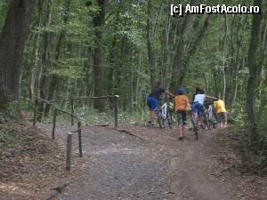 [P04] Incepe urcusul pe 'promenada', impreuna cu un grup de biciclisti » foto by dorgo
 - 
<span class="allrVoted glyphicon glyphicon-heart hidden" id="av371195"></span>
<a class="m-l-10 hidden" id="sv371195" onclick="voting_Foto_DelVot(,371195,4629)" role="button">șterge vot <span class="glyphicon glyphicon-remove"></span></a>
<a id="v9371195" class=" c-red"  onclick="voting_Foto_SetVot(371195)" role="button"><span class="glyphicon glyphicon-heart-empty"></span> <b>LIKE</b> = Votează poza</a> <img class="hidden"  id="f371195W9" src="/imagini/loader.gif" border="0" /><span class="AjErrMes hidden" id="e371195ErM"></span>