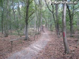 [P06] Ei, de-aici, 'promenada' incepe sa urce serios!  » foto by dorgo
 - 
<span class="allrVoted glyphicon glyphicon-heart hidden" id="av371204"></span>
<a class="m-l-10 hidden" id="sv371204" onclick="voting_Foto_DelVot(,371204,4629)" role="button">șterge vot <span class="glyphicon glyphicon-remove"></span></a>
<a id="v9371204" class=" c-red"  onclick="voting_Foto_SetVot(371204)" role="button"><span class="glyphicon glyphicon-heart-empty"></span> <b>LIKE</b> = Votează poza</a> <img class="hidden"  id="f371204W9" src="/imagini/loader.gif" border="0" /><span class="AjErrMes hidden" id="e371204ErM"></span>