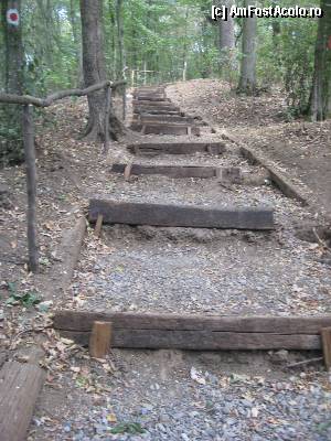 [P07] Sunt 90 de trepte pana la platou, scarile sunt traversele unei linii ferate dezafectate, atentie la tren!  » foto by dorgo
 - 
<span class="allrVoted glyphicon glyphicon-heart hidden" id="av371210"></span>
<a class="m-l-10 hidden" id="sv371210" onclick="voting_Foto_DelVot(,371210,4629)" role="button">șterge vot <span class="glyphicon glyphicon-remove"></span></a>
<a id="v9371210" class=" c-red"  onclick="voting_Foto_SetVot(371210)" role="button"><span class="glyphicon glyphicon-heart-empty"></span> <b>LIKE</b> = Votează poza</a> <img class="hidden"  id="f371210W9" src="/imagini/loader.gif" border="0" /><span class="AjErrMes hidden" id="e371210ErM"></span>