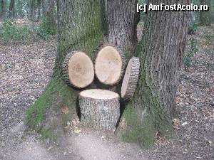 [P09] Un mic loc de popas » foto by dorgo
 - 
<span class="allrVoted glyphicon glyphicon-heart hidden" id="av371225"></span>
<a class="m-l-10 hidden" id="sv371225" onclick="voting_Foto_DelVot(,371225,4629)" role="button">șterge vot <span class="glyphicon glyphicon-remove"></span></a>
<a id="v9371225" class=" c-red"  onclick="voting_Foto_SetVot(371225)" role="button"><span class="glyphicon glyphicon-heart-empty"></span> <b>LIKE</b> = Votează poza</a> <img class="hidden"  id="f371225W9" src="/imagini/loader.gif" border="0" /><span class="AjErrMes hidden" id="e371225ErM"></span>