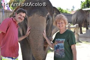 [P19] Samui Elephant Jungle Sanctuary » foto by elenaadina
 - 
<span class="allrVoted glyphicon glyphicon-heart hidden" id="av1527482"></span>
<a class="m-l-10 hidden" id="sv1527482" onclick="voting_Foto_DelVot(,1527482,4636)" role="button">șterge vot <span class="glyphicon glyphicon-remove"></span></a>
<a id="v91527482" class=" c-red"  onclick="voting_Foto_SetVot(1527482)" role="button"><span class="glyphicon glyphicon-heart-empty"></span> <b>LIKE</b> = Votează poza</a> <img class="hidden"  id="f1527482W9" src="/imagini/loader.gif" border="0" /><span class="AjErrMes hidden" id="e1527482ErM"></span>
