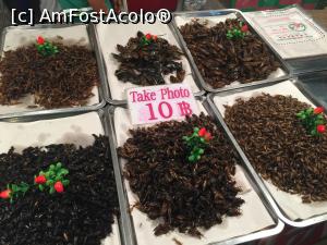 [P04] Pentru amatorii de delicatese, tot feleul de gandacei prajiti.  » foto by elazaroiu
 - 
<span class="allrVoted glyphicon glyphicon-heart hidden" id="av722058"></span>
<a class="m-l-10 hidden" id="sv722058" onclick="voting_Foto_DelVot(,722058,4636)" role="button">șterge vot <span class="glyphicon glyphicon-remove"></span></a>
<a id="v9722058" class=" c-red"  onclick="voting_Foto_SetVot(722058)" role="button"><span class="glyphicon glyphicon-heart-empty"></span> <b>LIKE</b> = Votează poza</a> <img class="hidden"  id="f722058W9" src="/imagini/loader.gif" border="0" /><span class="AjErrMes hidden" id="e722058ErM"></span>