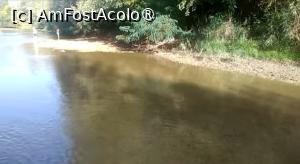 [P23] Ciorogârla la Domnești, la scăldat » foto by Mioritik
 - 
<span class="allrVoted glyphicon glyphicon-heart hidden" id="av1394693"></span>
<a class="m-l-10 hidden" id="sv1394693" onclick="voting_Foto_DelVot(,1394693,4638)" role="button">șterge vot <span class="glyphicon glyphicon-remove"></span></a>
<a id="v91394693" class=" c-red"  onclick="voting_Foto_SetVot(1394693)" role="button"><span class="glyphicon glyphicon-heart-empty"></span> <b>LIKE</b> = Votează poza</a> <img class="hidden"  id="f1394693W9" src="/imagini/loader.gif" border="0" /><span class="AjErrMes hidden" id="e1394693ErM"></span>