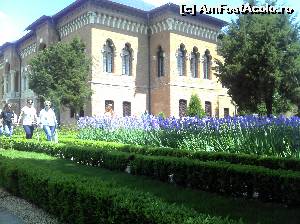 [P18] Mogosoaia. Castelul » foto by FlorinAndrei
 - 
<span class="allrVoted glyphicon glyphicon-heart hidden" id="av615955"></span>
<a class="m-l-10 hidden" id="sv615955" onclick="voting_Foto_DelVot(,615955,4638)" role="button">șterge vot <span class="glyphicon glyphicon-remove"></span></a>
<a id="v9615955" class=" c-red"  onclick="voting_Foto_SetVot(615955)" role="button"><span class="glyphicon glyphicon-heart-empty"></span> <b>LIKE</b> = Votează poza</a> <img class="hidden"  id="f615955W9" src="/imagini/loader.gif" border="0" /><span class="AjErrMes hidden" id="e615955ErM"></span>