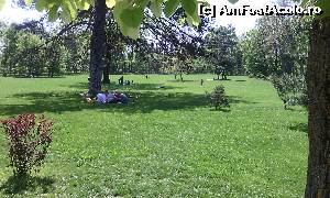 [P20] Mogosoaia. Zona de picnic » foto by FlorinAndrei
 - 
<span class="allrVoted glyphicon glyphicon-heart hidden" id="av615957"></span>
<a class="m-l-10 hidden" id="sv615957" onclick="voting_Foto_DelVot(,615957,4638)" role="button">șterge vot <span class="glyphicon glyphicon-remove"></span></a>
<a id="v9615957" class=" c-red"  onclick="voting_Foto_SetVot(615957)" role="button"><span class="glyphicon glyphicon-heart-empty"></span> <b>LIKE</b> = Votează poza</a> <img class="hidden"  id="f615957W9" src="/imagini/loader.gif" border="0" /><span class="AjErrMes hidden" id="e615957ErM"></span>