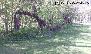 [P21] Mogosoaia. Natura, mereu surprinzatoare » foto by FlorinAndrei
 - 
<span class="allrVoted glyphicon glyphicon-heart hidden" id="av615958"></span>
<a class="m-l-10 hidden" id="sv615958" onclick="voting_Foto_DelVot(,615958,4638)" role="button">șterge vot <span class="glyphicon glyphicon-remove"></span></a>
<a id="v9615958" class=" c-red"  onclick="voting_Foto_SetVot(615958)" role="button"><span class="glyphicon glyphicon-heart-empty"></span> <b>LIKE</b> = Votează poza</a> <img class="hidden"  id="f615958W9" src="/imagini/loader.gif" border="0" /><span class="AjErrMes hidden" id="e615958ErM"></span>