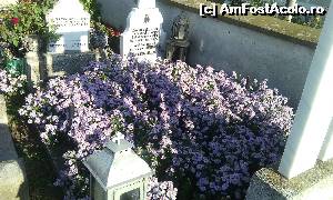 [P10] Mănăstirea Pasărea. Prin cimitir » foto by FlorinAndrei
 - 
<span class="allrVoted glyphicon glyphicon-heart hidden" id="av615166"></span>
<a class="m-l-10 hidden" id="sv615166" onclick="voting_Foto_DelVot(,615166,4638)" role="button">șterge vot <span class="glyphicon glyphicon-remove"></span></a>
<a id="v9615166" class=" c-red"  onclick="voting_Foto_SetVot(615166)" role="button"><span class="glyphicon glyphicon-heart-empty"></span> <b>LIKE</b> = Votează poza</a> <img class="hidden"  id="f615166W9" src="/imagini/loader.gif" border="0" /><span class="AjErrMes hidden" id="e615166ErM"></span>