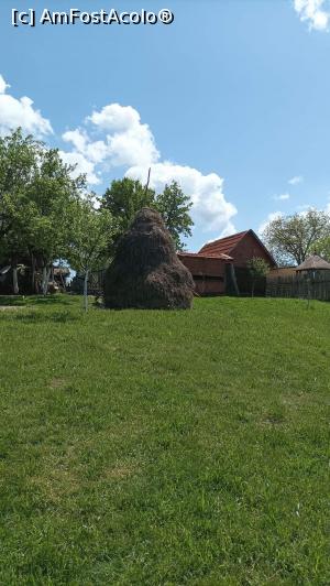 [P13] Windows ???? » foto by Daniela H
 - 
<span class="allrVoted glyphicon glyphicon-heart hidden" id="av1356404"></span>
<a class="m-l-10 hidden" id="sv1356404" onclick="voting_Foto_DelVot(,1356404,4656)" role="button">șterge vot <span class="glyphicon glyphicon-remove"></span></a>
<a id="v91356404" class=" c-red"  onclick="voting_Foto_SetVot(1356404)" role="button"><span class="glyphicon glyphicon-heart-empty"></span> <b>LIKE</b> = Votează poza</a> <img class="hidden"  id="f1356404W9" src="/imagini/loader.gif" border="0" /><span class="AjErrMes hidden" id="e1356404ErM"></span>