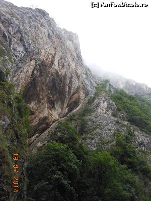 [P24] Cheile Râşnoavei.  » foto by iulianic
 - 
<span class="allrVoted glyphicon glyphicon-heart hidden" id="av534902"></span>
<a class="m-l-10 hidden" id="sv534902" onclick="voting_Foto_DelVot(,534902,4656)" role="button">șterge vot <span class="glyphicon glyphicon-remove"></span></a>
<a id="v9534902" class=" c-red"  onclick="voting_Foto_SetVot(534902)" role="button"><span class="glyphicon glyphicon-heart-empty"></span> <b>LIKE</b> = Votează poza</a> <img class="hidden"  id="f534902W9" src="/imagini/loader.gif" border="0" /><span class="AjErrMes hidden" id="e534902ErM"></span>